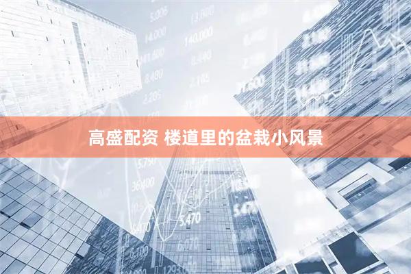 高盛配资 楼道里的盆栽小风景